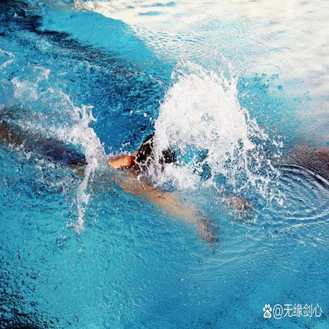 上海德比战：申城足球激情碰撞